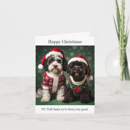 Chiens d'eau portugais Bonne carte de Noël (Devant)
