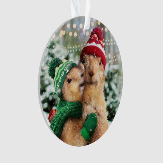 Chiens des Prairies de Noël (devant)