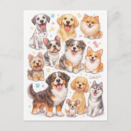 Chiens drôles. Carte postale (Devant)