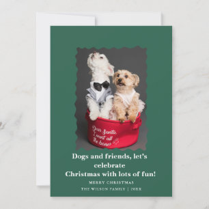 Chiens drôles et mignons carte de vœux de Noël pou