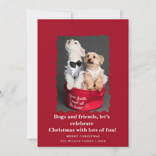 Chiens drôles et mignons disant carte de vacances
