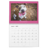 Chiens du calendrier Milago (Mar 2027)