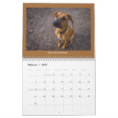 Chiens du calendrier Milago (Feb 2027)