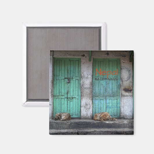 Chiens errants en Katmandou, aimant texte népalais (Recto/Verso)