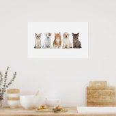 Chiens et chatons - Poster - srf (Cuisine)