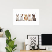Chiens et chatons - Poster - srf (Bureau à domicile)