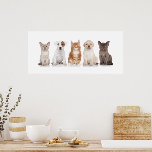 Chiens et chatons - Poster - srf (Cuisine)
