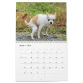 Chiens Funny Personalisés - Calendrier 2024 (Mar 2026)