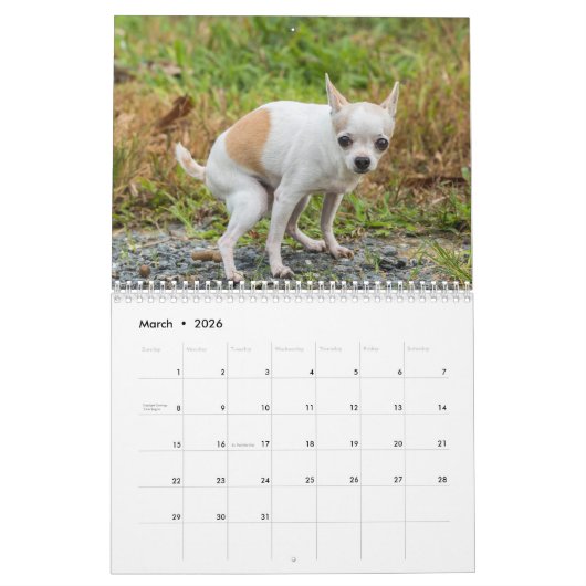 Chiens Funny Personalisés - Calendrier 2024 (Mar 2026)