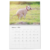 Chiens Funny Personalisés - Calendrier 2024 (Feb 2026)