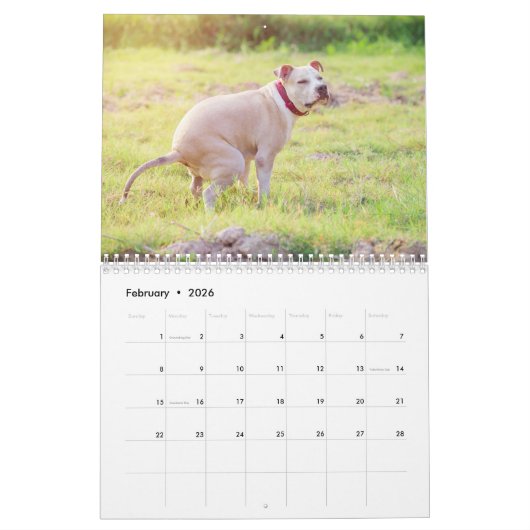 Chiens Funny Personalisés - Calendrier 2024 (Feb 2026)