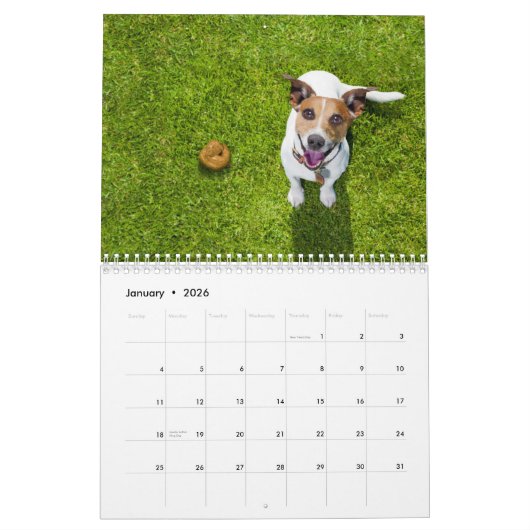 Chiens Funny Personalisés - Calendrier 2024 (Jan 2026)