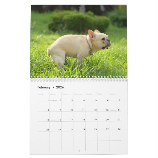 Chiens Funny Personalisés - Calendrier 2025 (Feb 2026)
