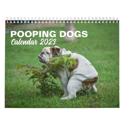 Chiens Funny Personalisés - Calendrier 2025 (Protection)