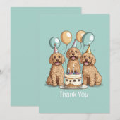 Chiens Goldendoodle Merci (Devant / Derrière)