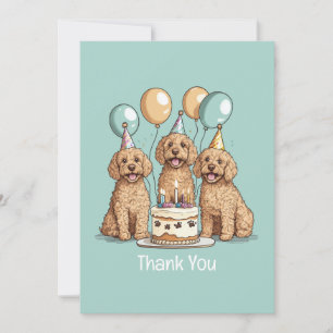 Chiens Goldendoodle Merci