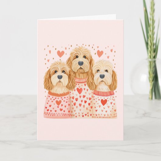 Chiens Goldendoodle Merci Valentines (Devant)
