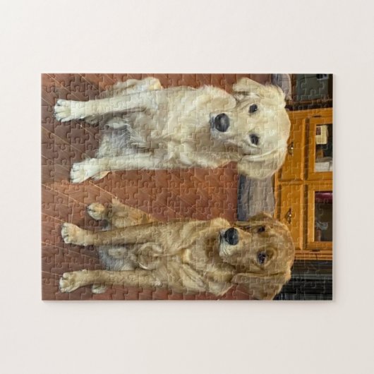 Chiens Jigsaw Puzzle (Horizontal)