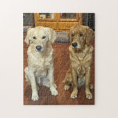 Chiens Jigsaw Puzzle (Vertical)