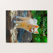 Chiens Lapphund. Puzzle (Horizontal)