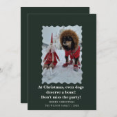 Chiens Mignons Drôle Dit Carte de Noël (Devant / Derrière)