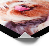 Chiens mignons et amusants Photo Collage Poster 1 (Coin)