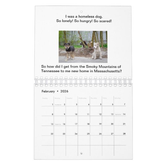 Chiens n'abandonnent jamais le calendrier des livr (Feb 2026)