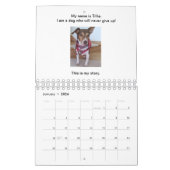 Chiens n'abandonnent jamais le calendrier des livr (Jan 2026)