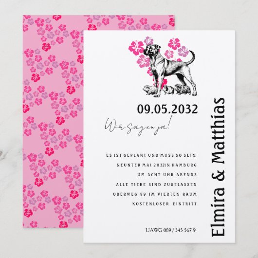 Chiens, petits animaux, grand amour : Invitation à (Devant / Derrière)