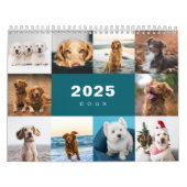 Chiens Photo Collage Calendrier moderne 2025 (Protection)