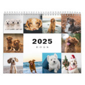 Chiens Photo Collage Calendrier moderne 2025 (Protection)