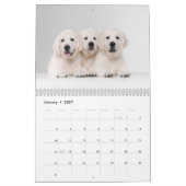 Chiens Photo Collage Calendrier moderne 2025 (Jan 2027)