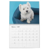 Chiens Photo Collage Calendrier moderne 2025 (Feb 2027)