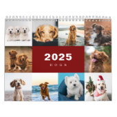 Chiens Photo Collage Calendrier moderne 2025 (Protection)