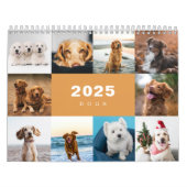 Chiens Photo Collage Calendrier moderne 2025 (Protection)