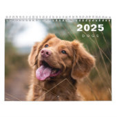 Chiens Photo Collage Calendrier moderne 2025 (Protection)