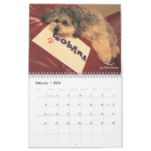 Chiens pour le calendrier d'Obama (Feb 2026)