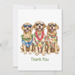 Chiens Retriever Dorés Hawaïens Merci