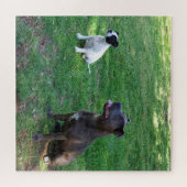 Chiens robustes En Attente De Traitements, Puzzle (Horizontal)