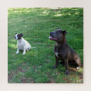 Chiens robustes En Attente De Traitements, Puzzle