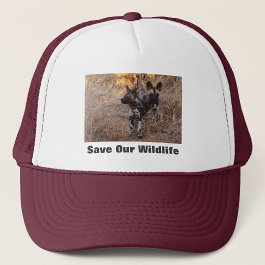 Chiens sauvages sauvez notre Casquette de la faune (Devant)