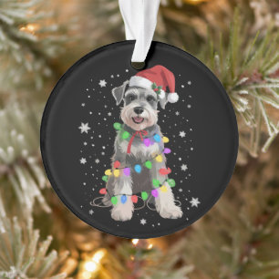 Chiens Schnauzer Arbre Noël Xmas Animal Familier C
