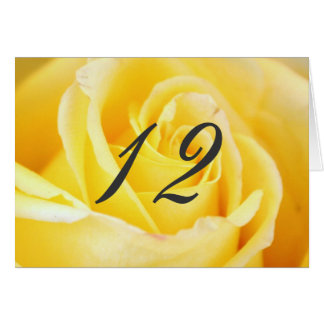 Chiffres du Mariage rose jaune