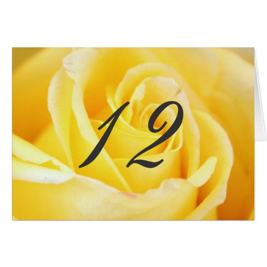 Chiffres du Mariage rose jaune (Devant Horizontal)