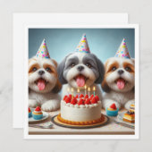 Chih Tzu carte d'anniversaire, Chih Tzu chien (Devant / Derrière)
