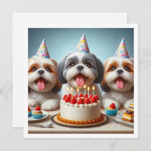 Chih Tzu carte d'anniversaire, Chih Tzu chien (Devant / Derrière)