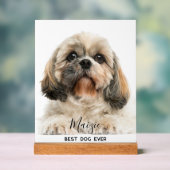 Chih Tzu Maman Personnalisée Animaux de Compagnie  (Neutre)