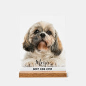 Chih Tzu Maman Personnalisée Animaux de Compagnie  (Recto)