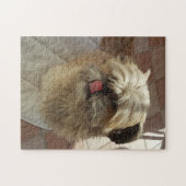 Chih Tzu puzzle chien (Horizontal)