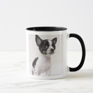 Chihua puppy staat op wit weefsel mok